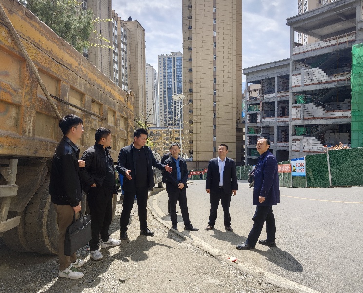 金沙8087公司赴紫阳县实地调查物流园项目